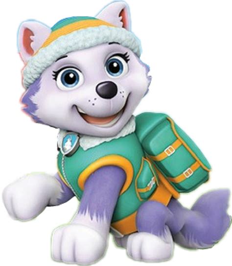 Patrulha Canina Png Imagens Png Everest Paw Patrol Skye Paw Patrol Images