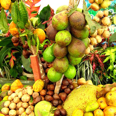 Tropical Fruit Farm In Penang Attraction In Penang Malaysia Justgola