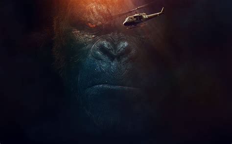 Top 999 Gorilla Wallpaper Full Hd 4k Free To Use