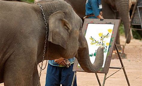 Elephant Painting A Portrait Real Or Hoax