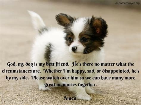 If it is your will, please restore him (her) to health and strength. Prayers for Animals, Dogs, Pets, and Cats - Our Father Prayer