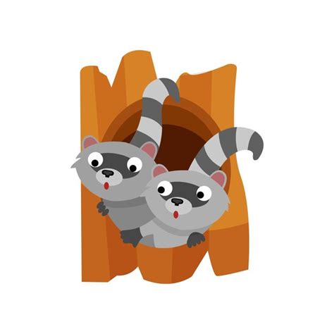 Premium Vector Two Cute Raccoons Peeping Out Of The Hollow Vector