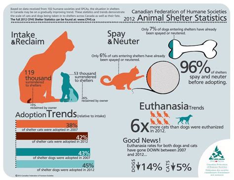Currently, no government institution or animal organization is responsible for tabulating national statistics for the animal protection movement. Animal Shelter Statistics | Infographics | Pinterest ...