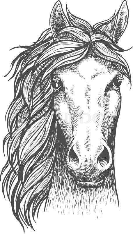 Draw Horse Heads And Faces Step By Step Drawing Guide By Dawn Artofit