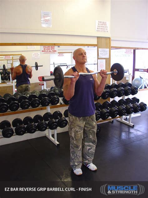 We did not find results for: EZ Bar Reverse Grip Barbell Curl: Video Exercise Guide & Tips