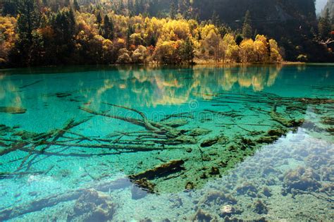 Colorful Lake In Jiuzhaigou Stock Image Image Of Clean Ecology 37050021