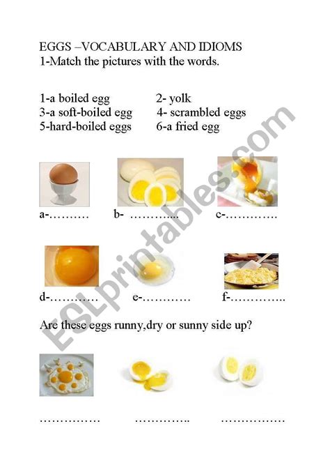 The Correct Oneeggs Vocabulary And Idioms Esl Worksheet By