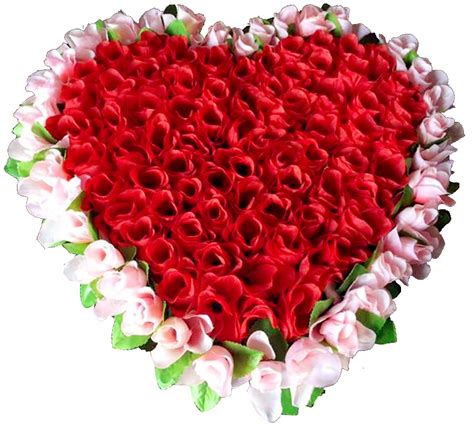 50 Red And Pink Color Heart Shaped Roses Bouquet Online To Philippines