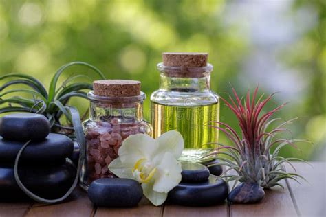 Spa And Wellness Decoration With Bottles Oil And Salt Zen Stones And Tropical Flowers Stock
