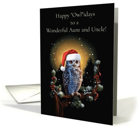 Aunt And Uncle Christmas Happy Holidays Cute Owl Blessings Card