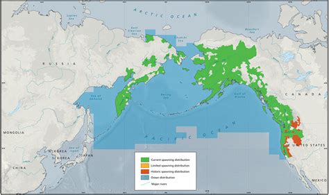 Chinook Salmon Migration Map