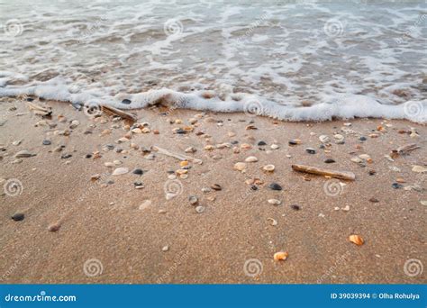 Sea Waves On Sand Beach With Mollisk Shells Stock Photo Image Of