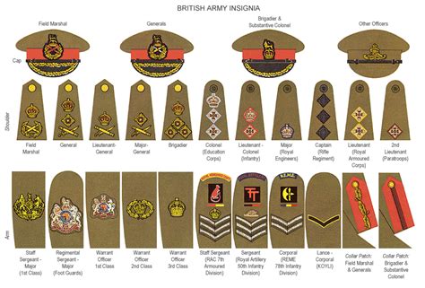 Her Majestys Services A Brief Guide To British Armed Forces Ranks