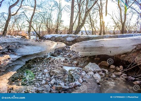 Spring Melting Of Ice On A Stream Stock Image Image Of April Melting