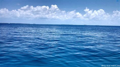 Calm Seas Deep Blue Water Spearfishing