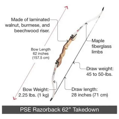 Best Recurve Bows For Beginners For Advanced Archers And For Hunting