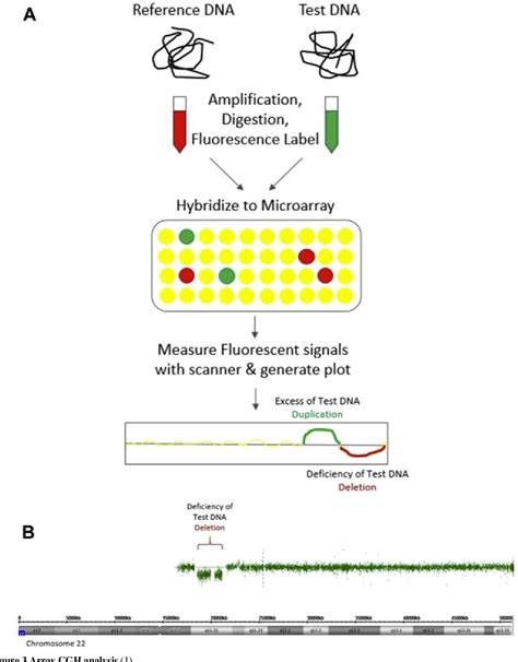 Figure 3 From Chromosomal Microarray In Prenatal Diagnosis Replacing