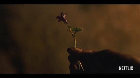 Jun 04, 2021 · on june 4, 2021, netflix announced the broadcast date as july 23. Netflix Confirms 23 July Release Date For KINGDOM: ASHIN ...