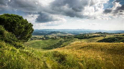 Landscape Photo Of Tree On Green Hills Tuscany Volterra Italy Hd