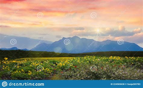 Dramatic Sunset Sky Cloudy Pink Sky Nature Landscape Mount Olympus On