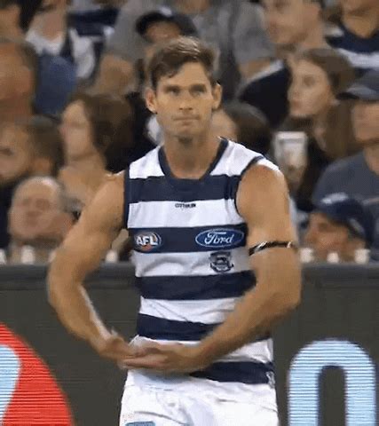 Nice season with lots of people having a crack, whether you post a little or a lot it's about having fun…and trying to win finals! Tom Hawkins Afl GIF by geelongcats - Find & Share on GIPHY