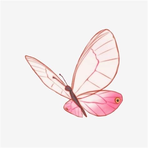 Dream Butterfly Hd Transparent Christmas Butterfly Dream Rose Butterfly Red Pink PNG Image