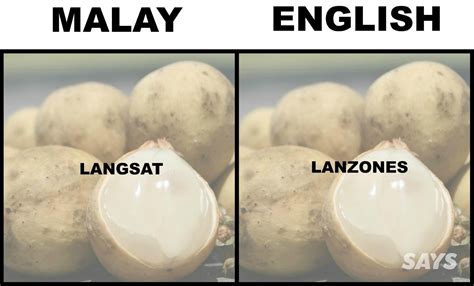 How do you say buah kedondong? What's Ciku, Kedondong, Langsat And Buah Sukun In English?