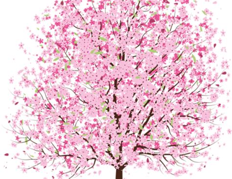 Download Spring Clipart Pink Blossom Tree Vector Free Hd