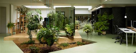 We did not find results for: Piante Pendenti Sempreverdi Da Interno / Piante da ...