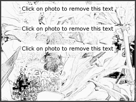 To see the available actions: Hawk Moth coloring, Download Hawk Moth coloring for free 2019