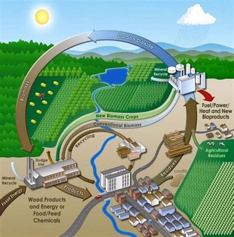 The Concept Of Biorefinery Bioenergy Consult
