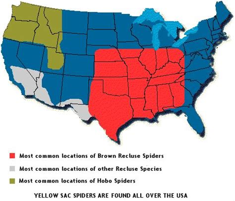 Brown Recluse And Their Desert Subspecies And Hobo Spider Range Map