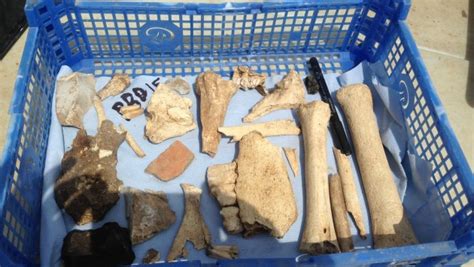 Dig Unearths Prehistoric Town Bournemouth University