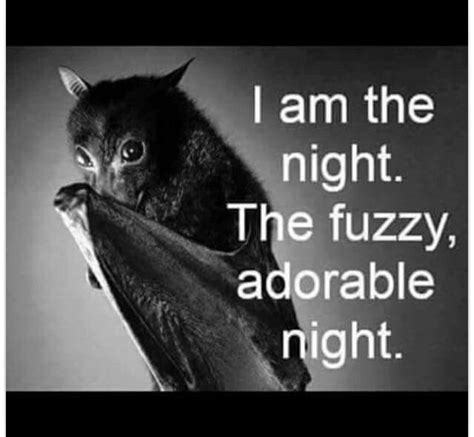 Fuzzy Creatures Of The Night Cute Creatures Beautiful Creatures