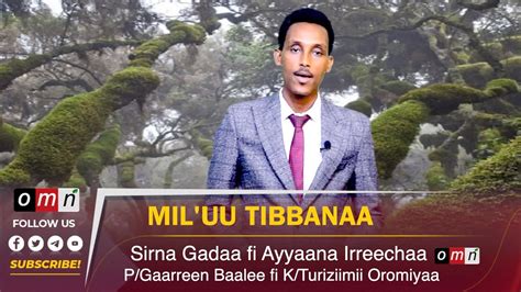 Omn Miluu Tibbanaa Imala Turiziimii Oromiyaa Fi Unesco Tti Galmaauu
