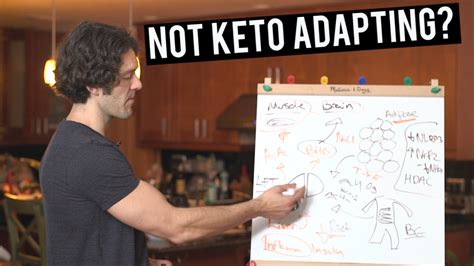 Though the keto diet is trending worldwide, it's not new. Can The Keto Diet Raise Liver Enzymes : Keto The Best ...