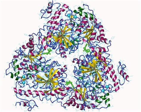 An example is adenylate cyclase, which produces the second messenger cyclic amp. Adenylyl cyclase - Wikipedia