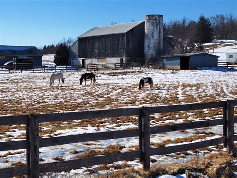 Winter At The Farm Halton Hills Ontario P2188857 Anx2 Q Flickr