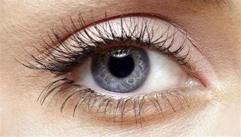 Kaum gehustet oder über ein leichtes. Rizinusöl für die Wimpern: Natürliche Pflege für schöne Augen