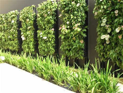 Vertical Garden Concept For Buildings Greenwall Vertical Garden System