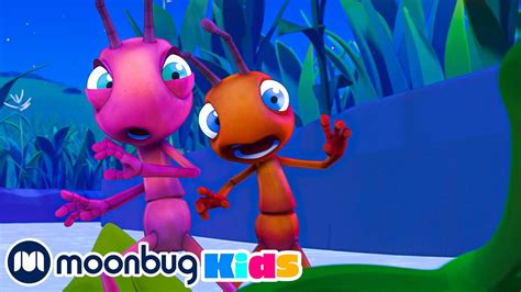 Skinny Dipper Moonbug Kids Tv Shows Full Episodes Cartoons For