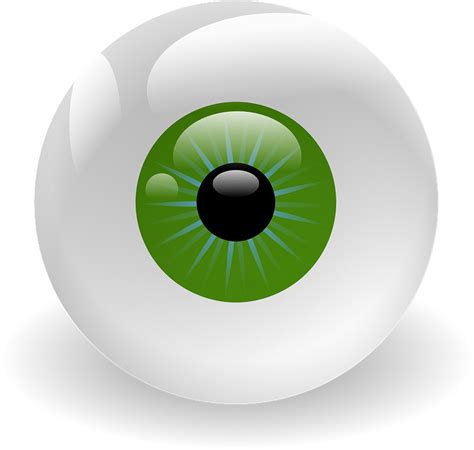 Free Vector Graphic Eyeball Vision Retina Eye Green Free Image