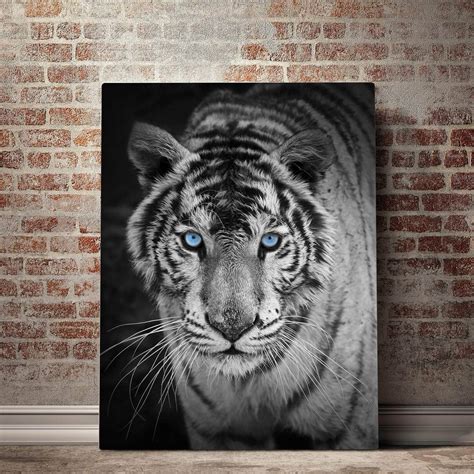A Touch Of Blue Contrast To The Mighty White Tiger Tiger Wall Art