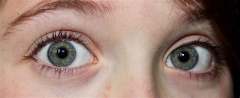 Pretty Blue Eyes Pretty Green And Brown With Gray Rim Eyes Payne