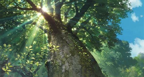 Nature Sunlight Trees Sun Rays Worms Eye View Studio Ghibli