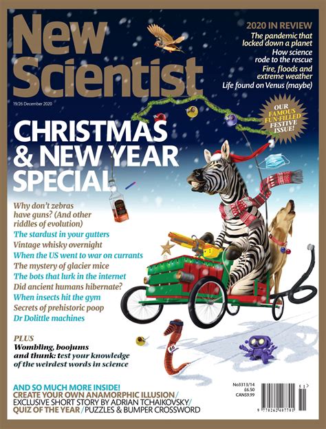 Issue 3313 Magazine Cover Date 19 December 2020 New Scientist
