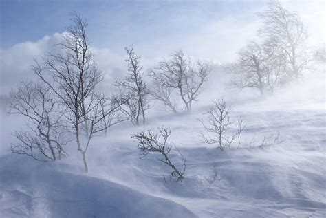 Wallpaper Id 1320039 Vinter Landscape Windy Day 4k Frost Norway