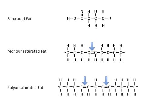 Trans Fat Are Trans Fats Saturated