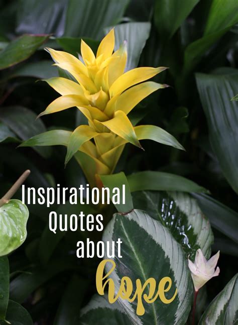 Design by betsy farrell getty images. Inspirational Quotes about Hope - Motivation Sayings with Flower Photos