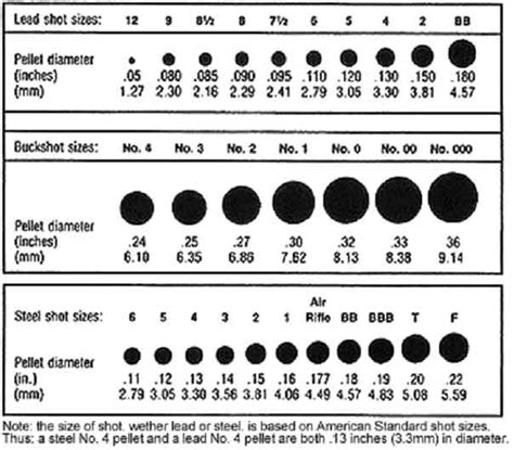 Lets Talk Turkey And Shotgun Gauges